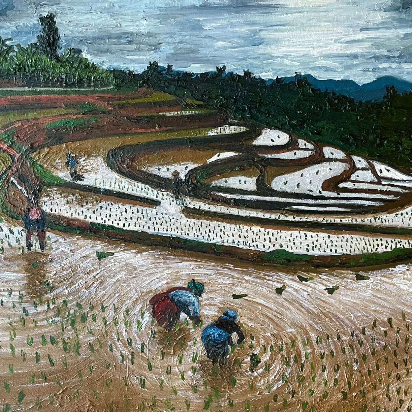 Paddy Fields in Thailand Farmers planting rice in terraced fields under a cloudy sky.